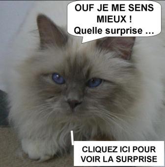 Les bébés d'Aldo