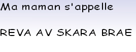 Ma maman s'appelle

REVA AV SKARA BRAE
