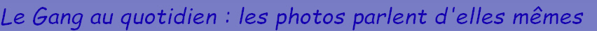 Le Gang au quotidien : les photos parlent d'elles mêmes 