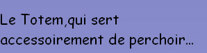 Le Totem,qui sert accessoirement de perchoir...